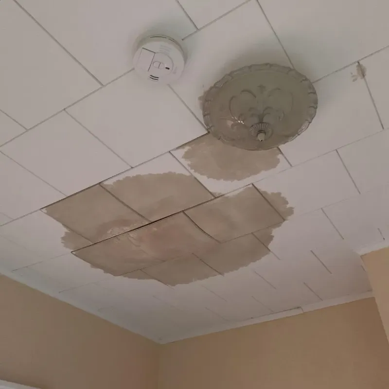 Ceiling Water Damage Repair in Jefferson County, PA