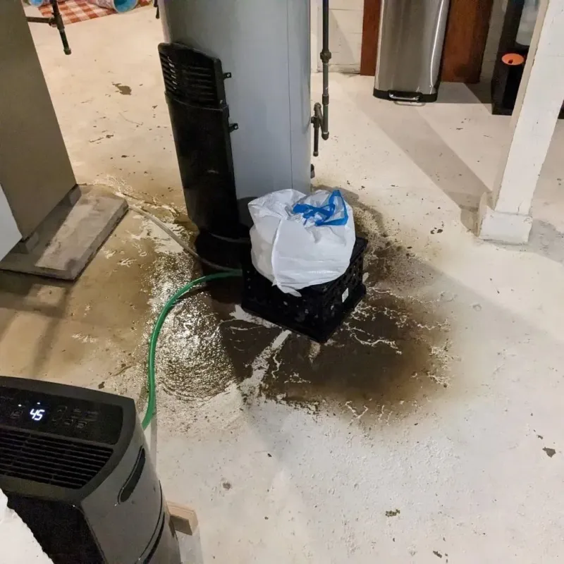 Sewage Backup Cleanup Service in Jefferson County, PA
